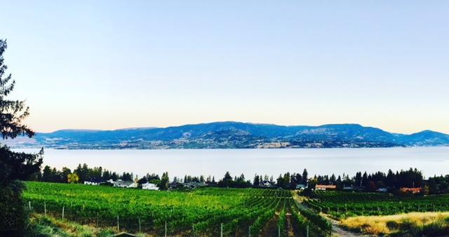 Summerhill Estate House Bed and Breakfast Κελόουνα  Εξωτερικό φωτογραφία